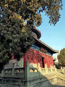 PEKIN - BIG BELL TEMPLE - Temple de la Grosse Cloche  (44)